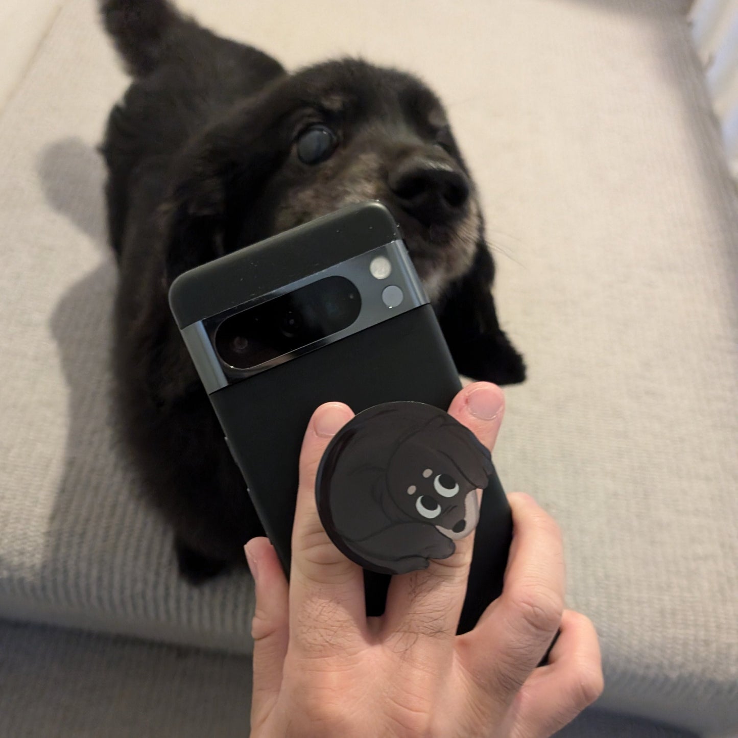 Oreo Boyboy Phone Grip