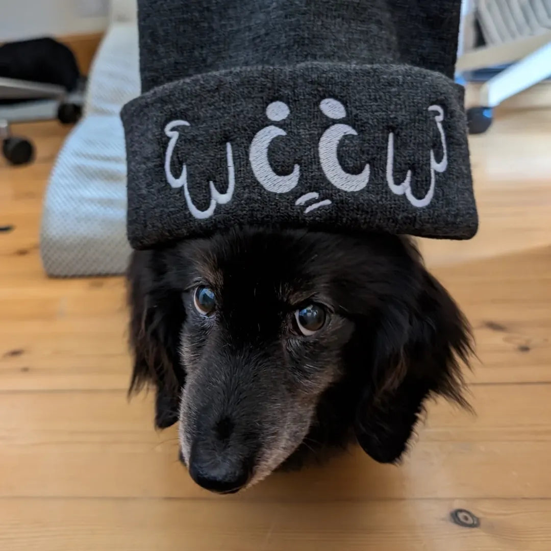 Beanie - become boyboy