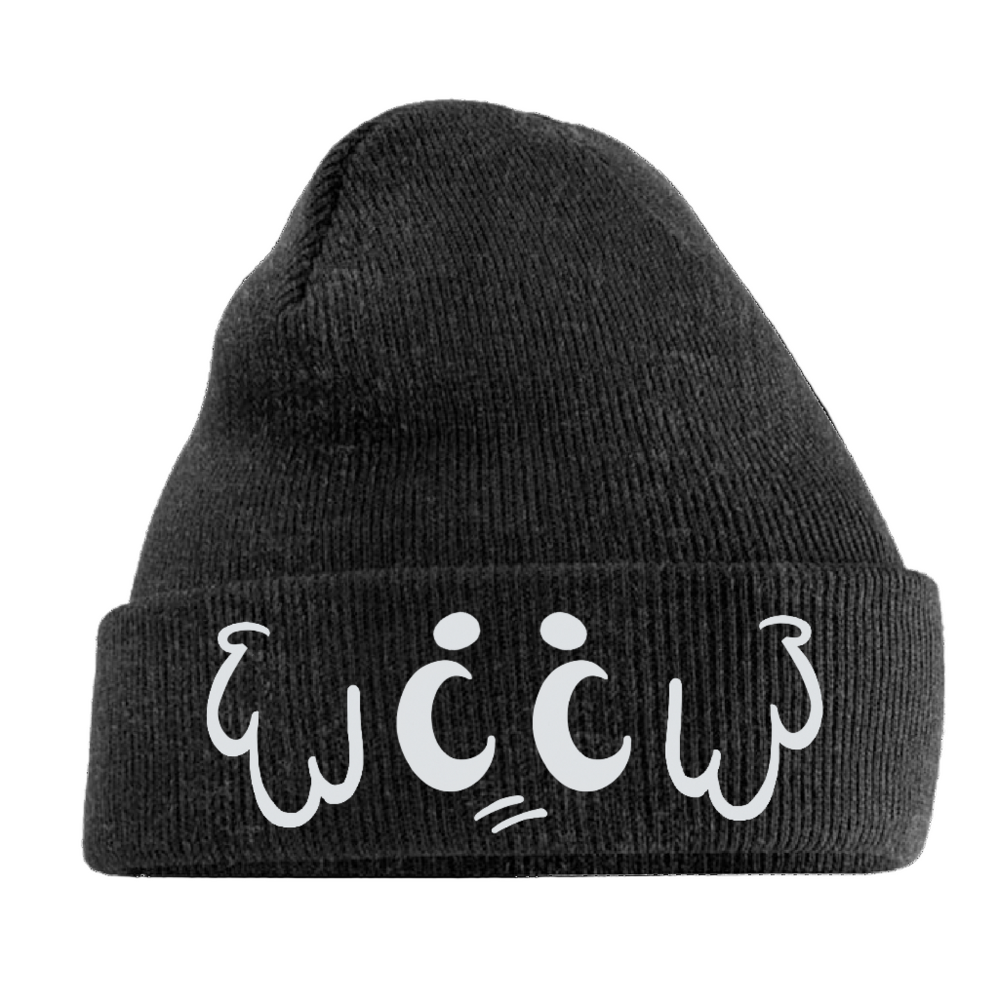 Beanie - become boyboy