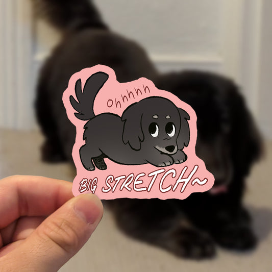 Vinyl Sticker - Ohh, Big Stretch!